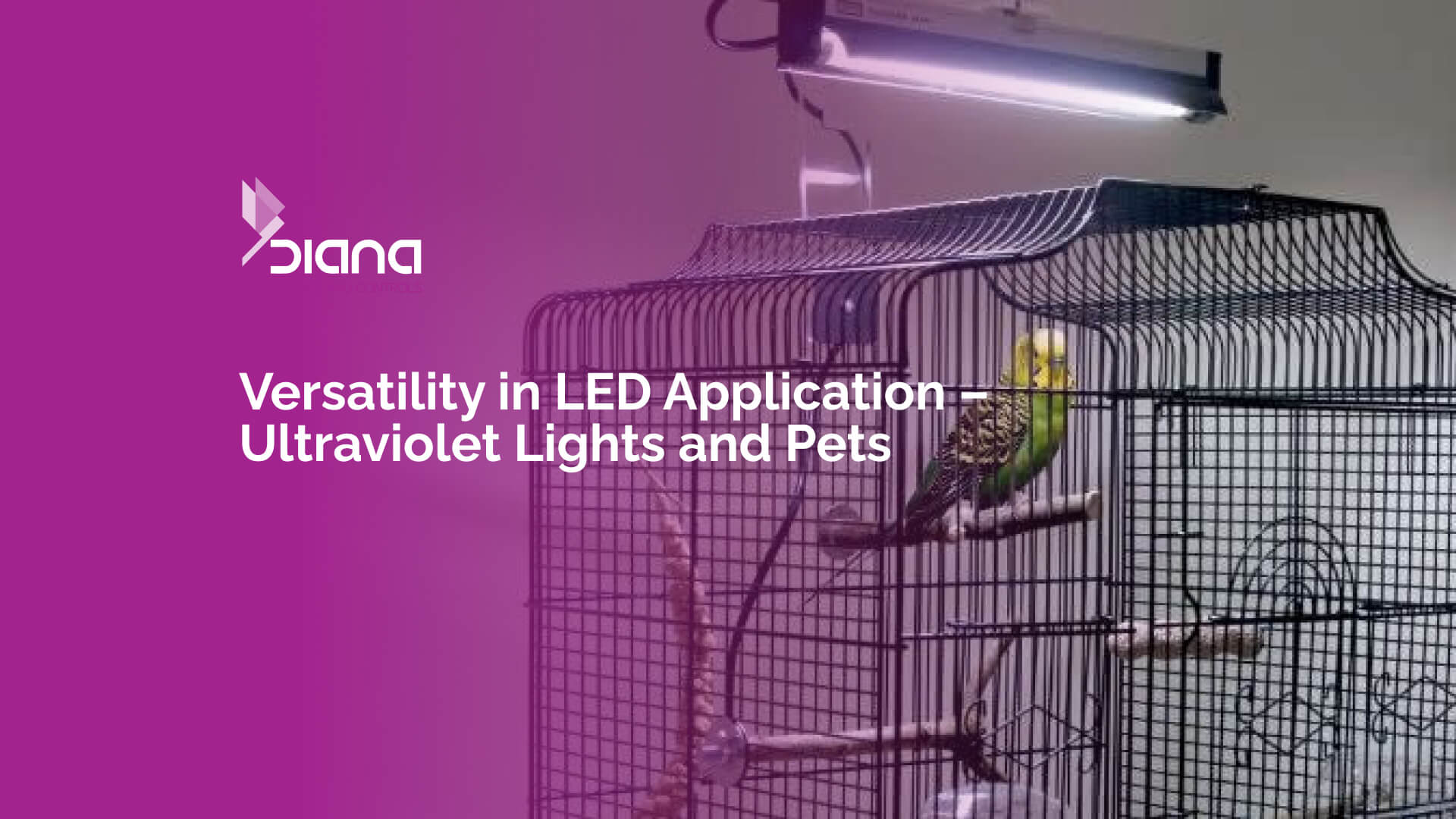 Ultraviolet LED lighting applications for plants and pets