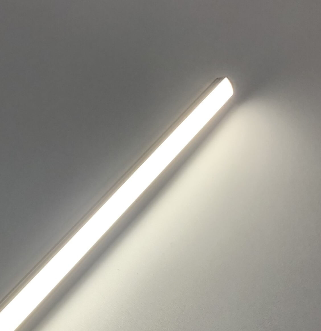 Profile photo lit for Diana Lighting