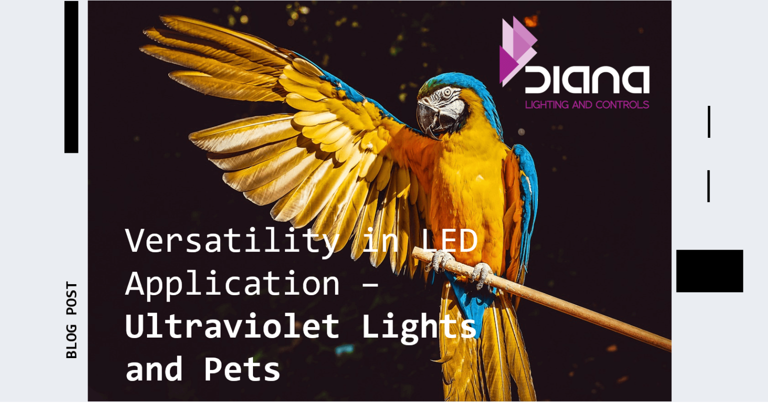 Versatility in LED Application Ultraviolet Lights and Pets Diana